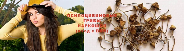 ешки Ладушкин
