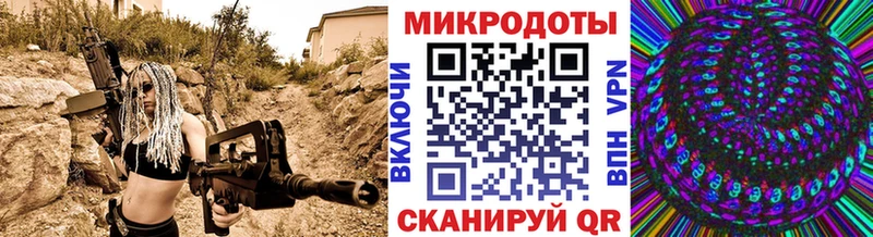 kraken ссылки  что такое   Новопавловск  Псилоцибиновые грибы Psilocybine cubensis 